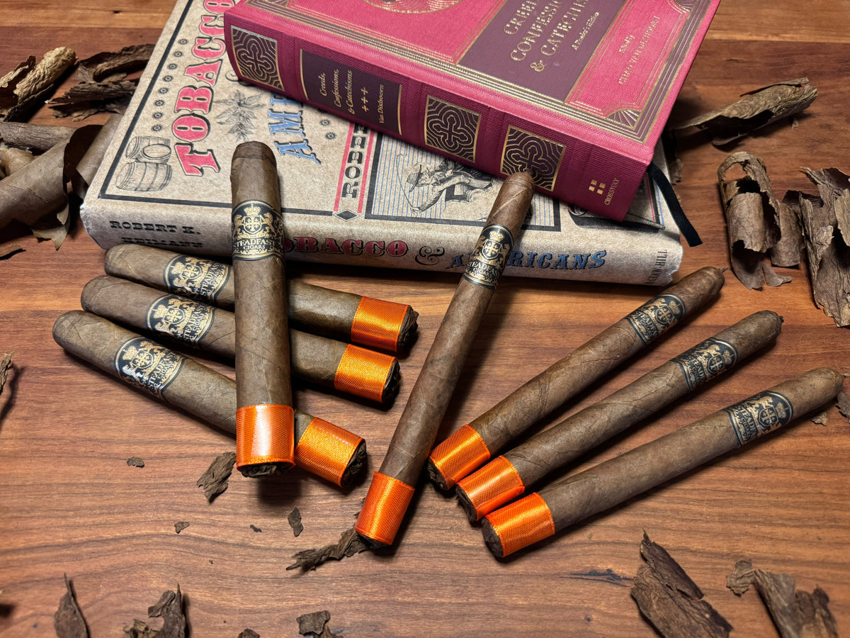 Legacy Orange